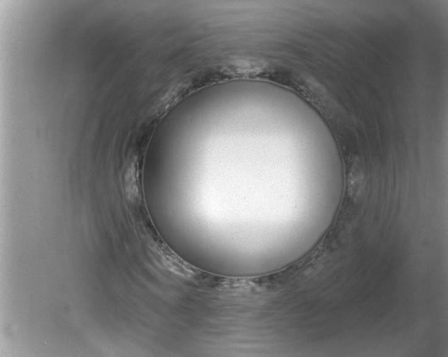 X0000081600866200701291359