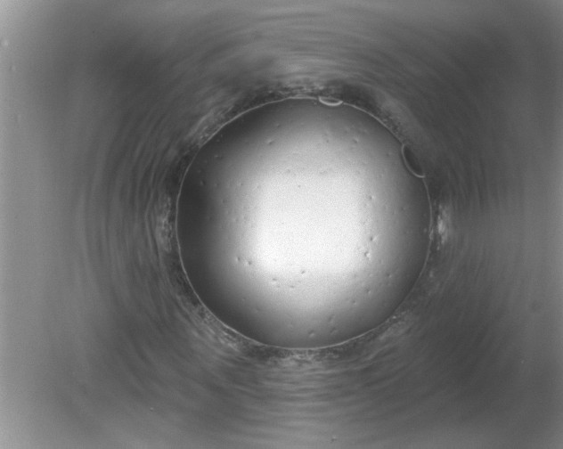 X0000081600867200701291359