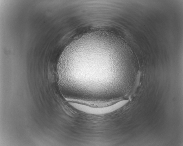 X0000081600868200701291359