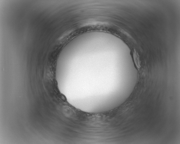 X0000081600869200701291359