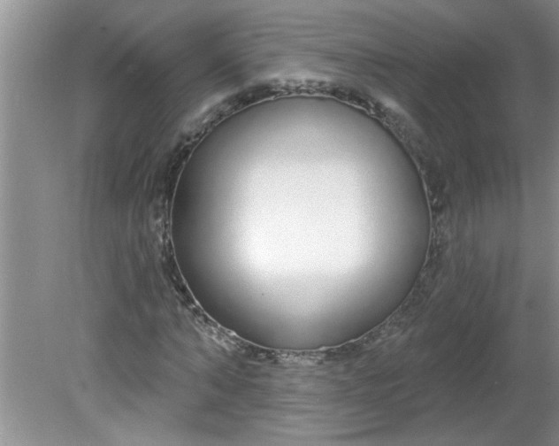 X0000081600870200701291359