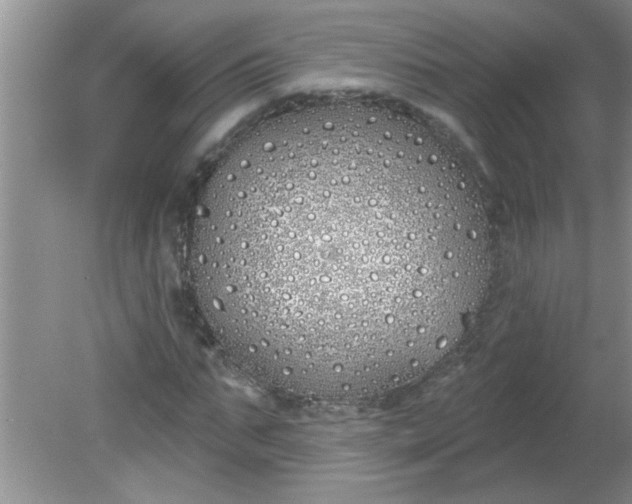 X0000081600871200701291359