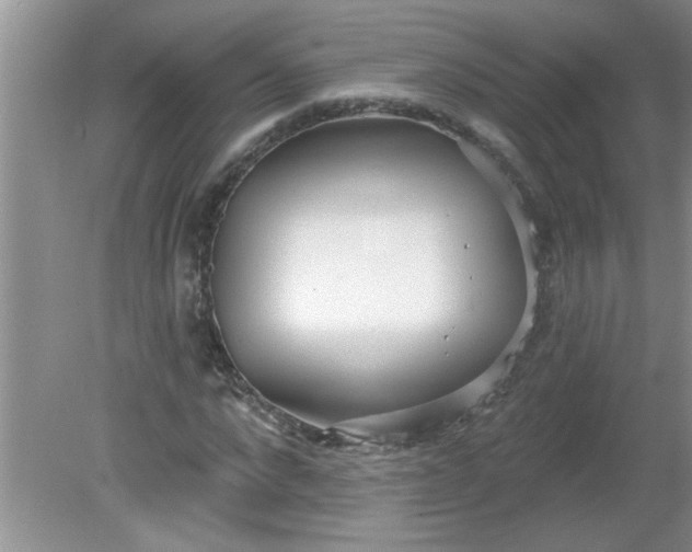 X0000081600872200701291359