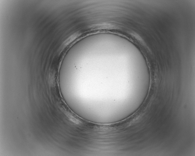 X0000081600873200701291358