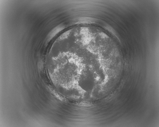 X0000081600874200701291358