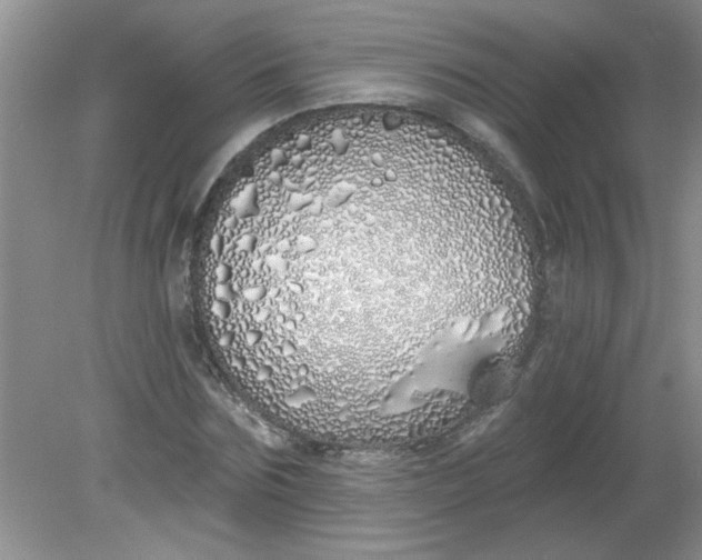 X0000081600875200701291358