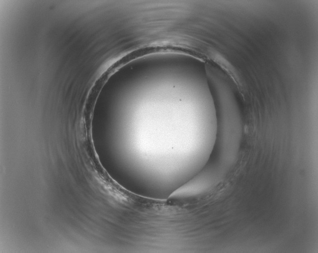 X0000081600876200701291358