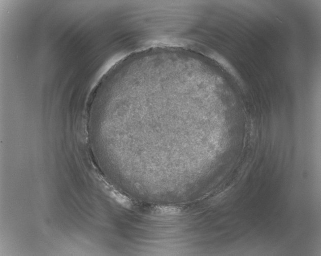 X0000081600878200701291358