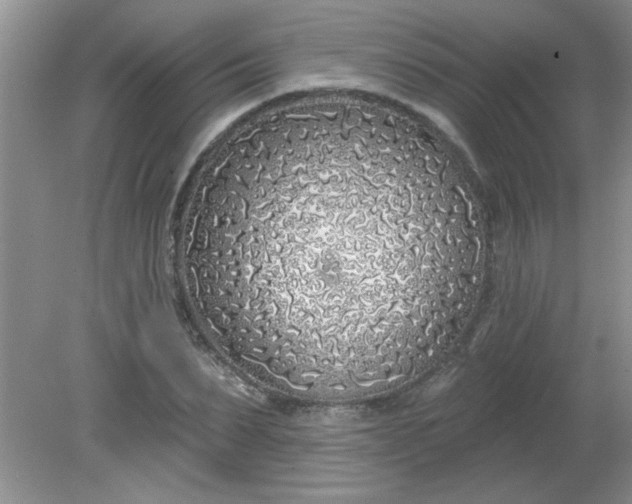 X0000081600879200701291358