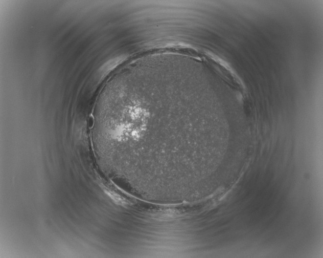 X0000081600881200701291358