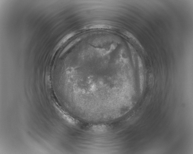 X0000081600882200701291358