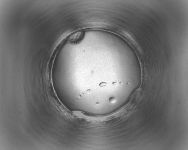 X0000081600883200701291358