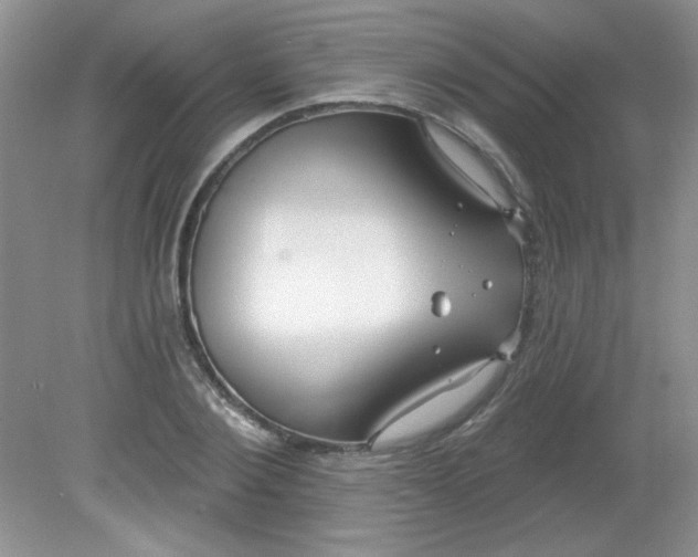 X0000081600884200701291358