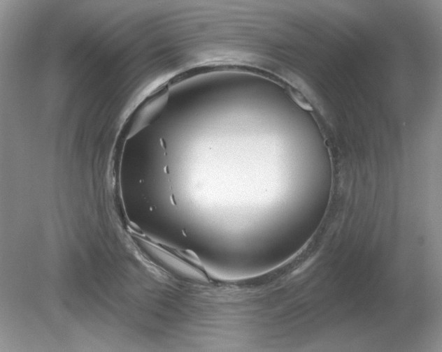 X0000081600885200701291358