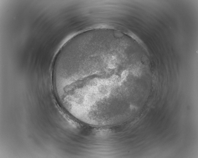 X0000081600886200701291358