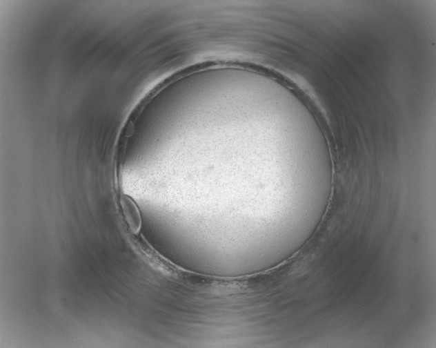 X0000081600887200701291358