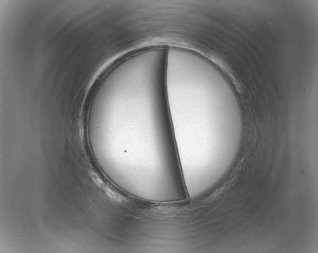 X0000081600888200701291358