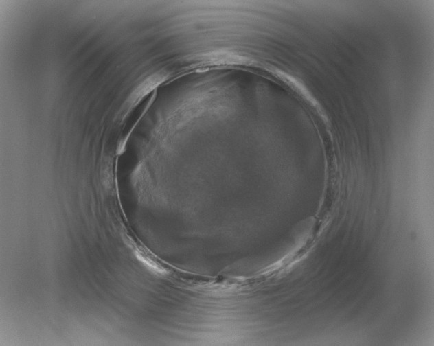 X0000081600889200701291358