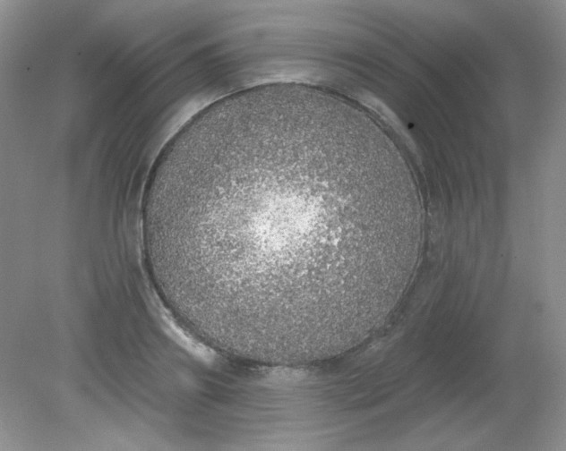 X0000081600890200701291358