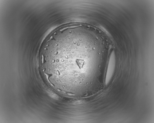 X0000081600891200701291358