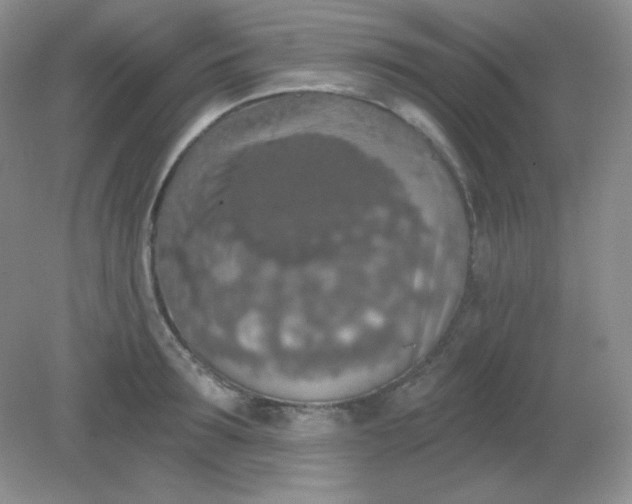 X0000081600899200701291358