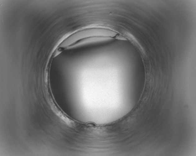 X0000081600900200701291358