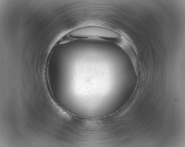 X0000081600901200701291358