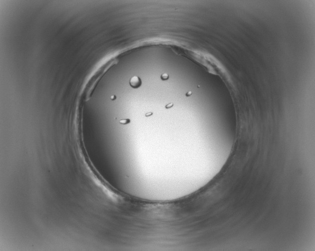 X0000081600902200701291358