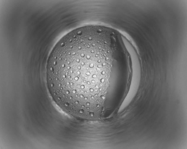 X0000081600903200701291358