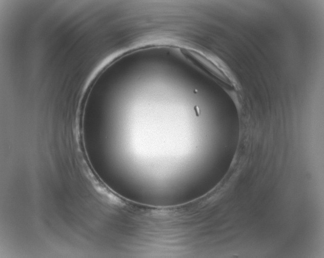 X0000081600904200701291358