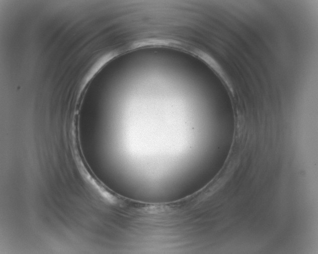 X0000081600906200701291358