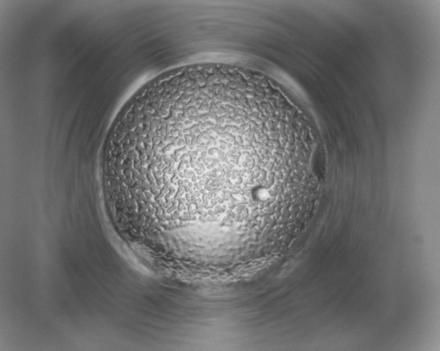 X0000081600907200701291358