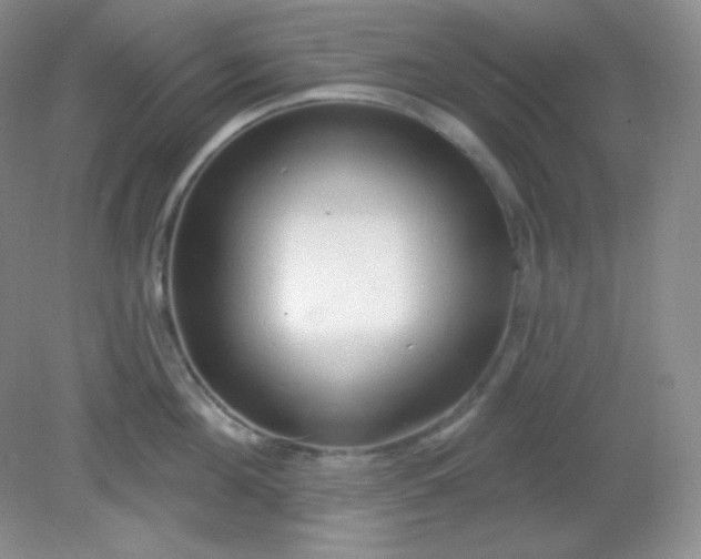 X0000081600908200701291358