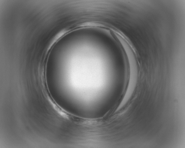 X0000081600909200701291358