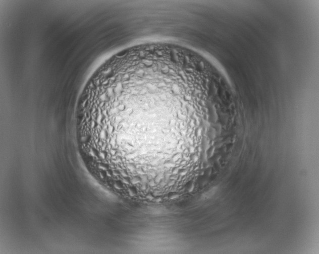 X0000081600911200701291358