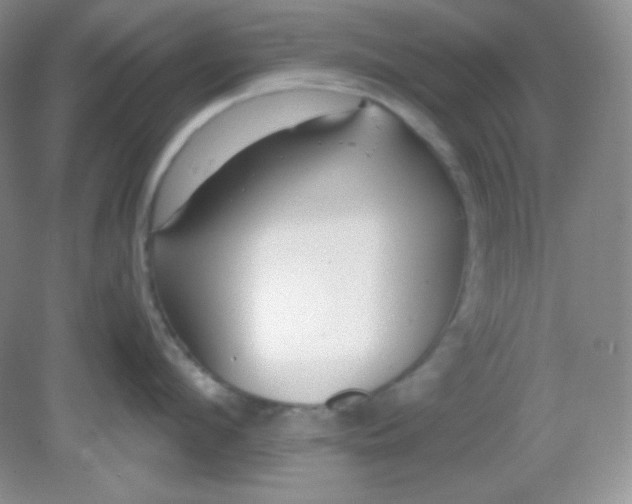 X0000081600912200701291358