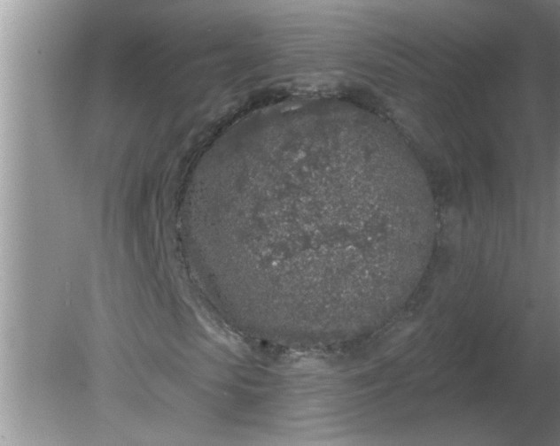 X0000081600913200701291357