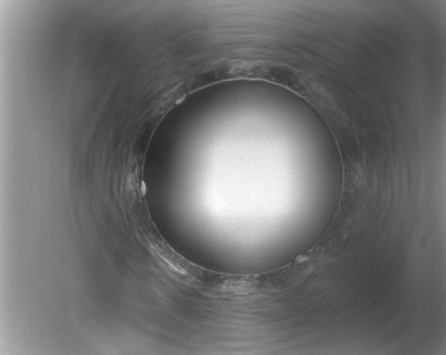 X0000081600914200701291357