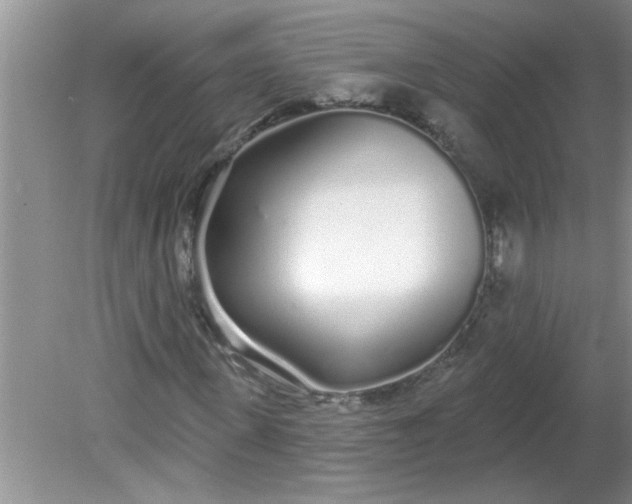 X0000081600915200701291357