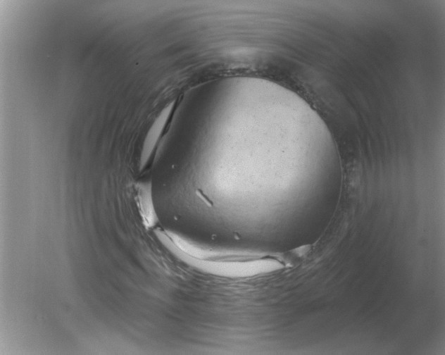 X0000081600916200701291357