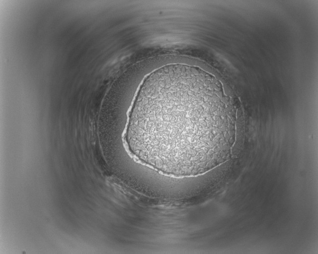 X0000081600917200701291357