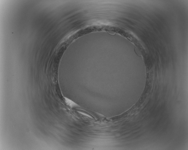 X0000081600919200701291357