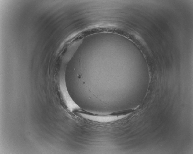 X0000081600920200701291357