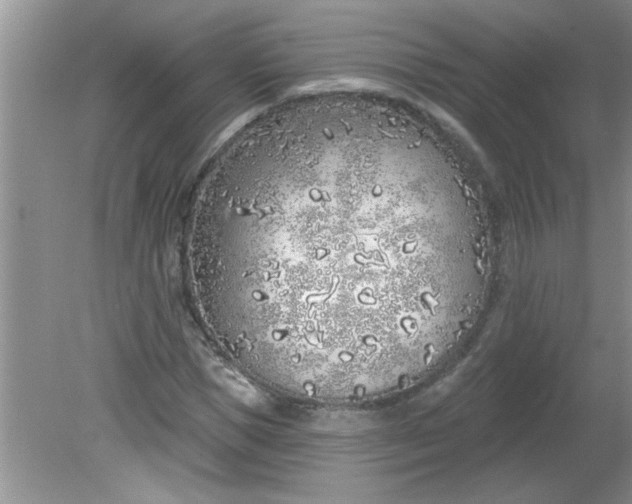 X0000081600921200701291357