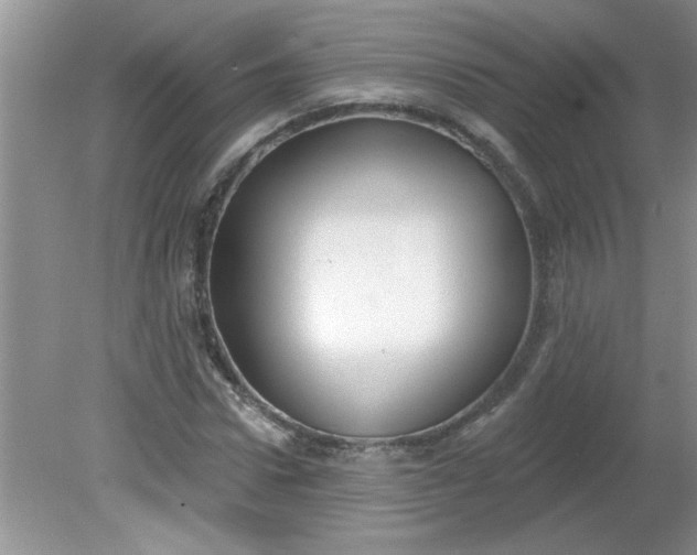 X0000081600922200701291357