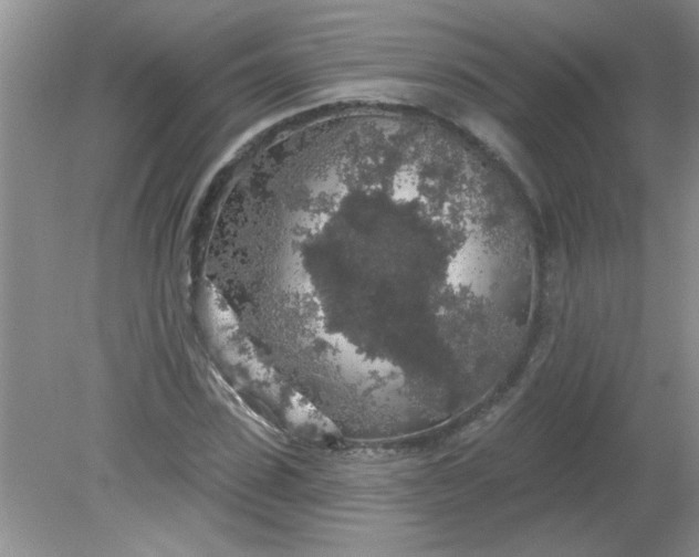 X0000081600923200701291357