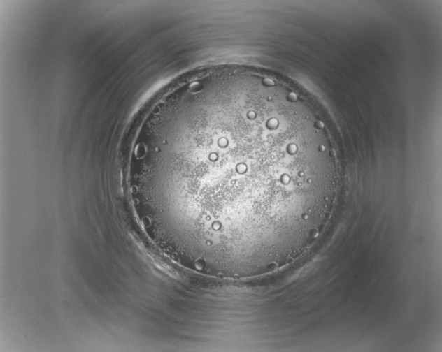 X0000081600925200701291357