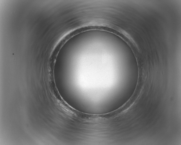 X0000081600926200701291357