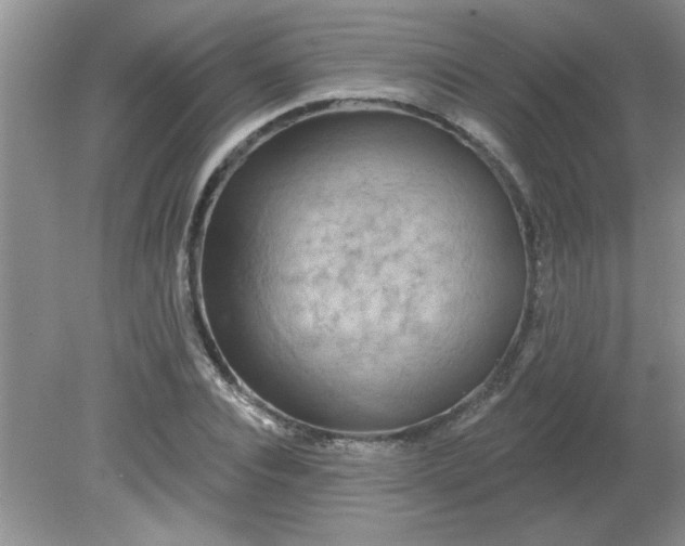 X0000081600928200701291357