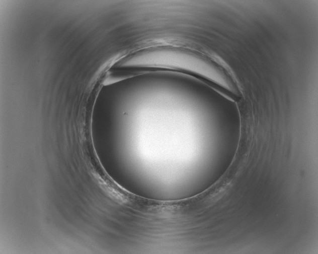 X0000081600930200701291357